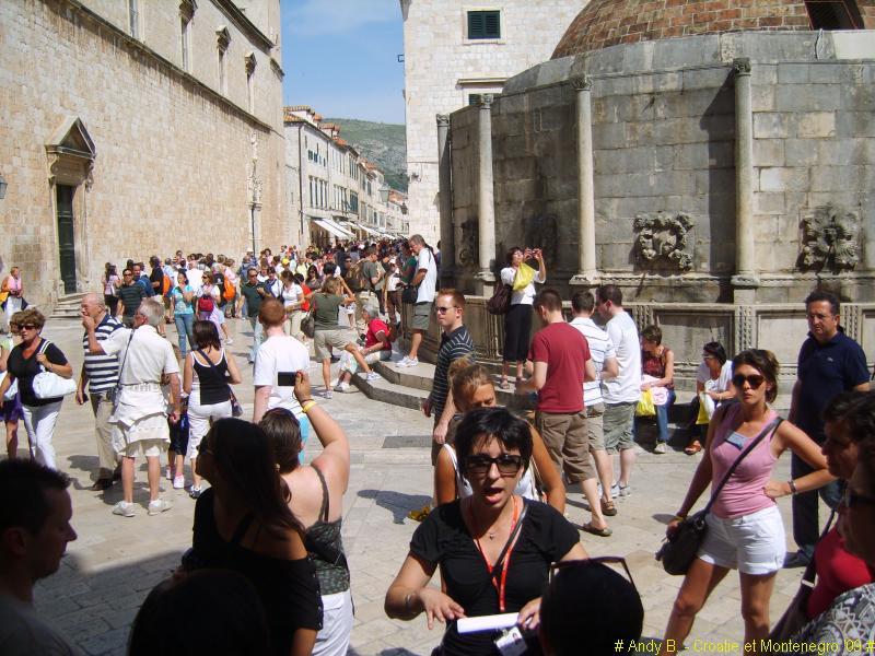 Dubrovnik ville (20).JPG